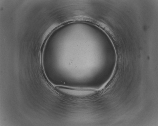 X0000073711275200608171129