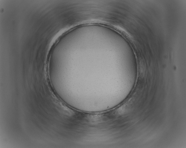 X0000073711278200608171129