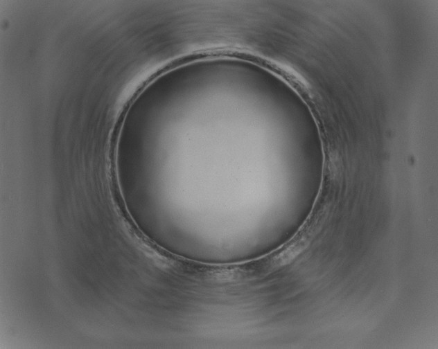 X0000073711279200608171129