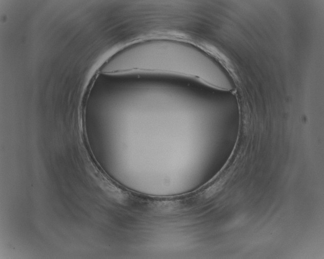 X0000073711280200608171129