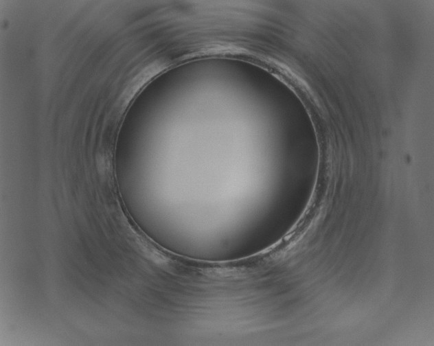 X0000073711281200608171129