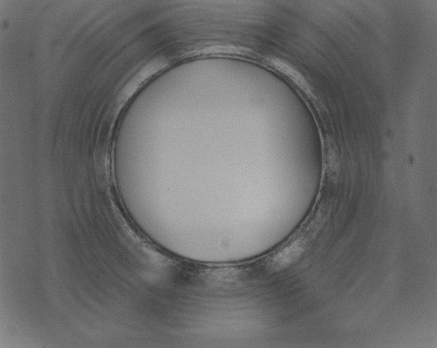 X0000073711282200608171129