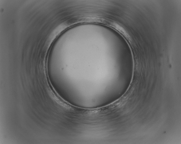 X0000073711283200608171129