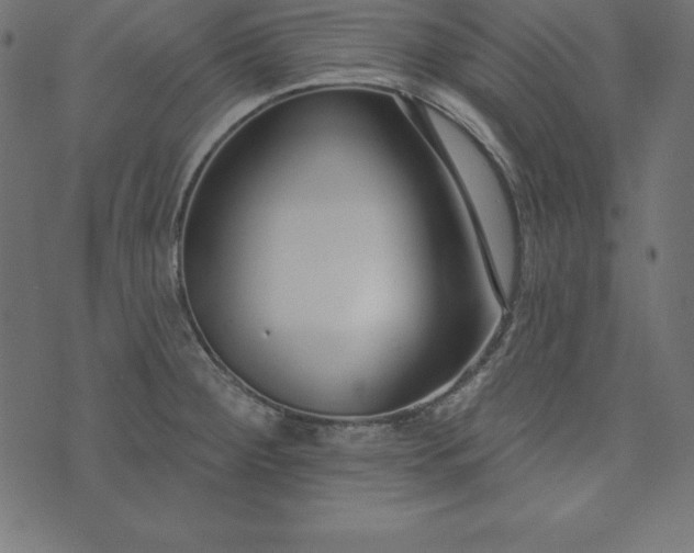 X0000073711284200608171129