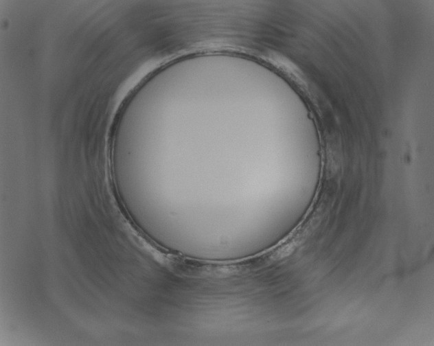 X0000073711286200608171129