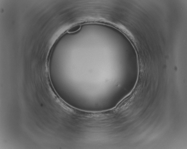 X0000073711287200608171129