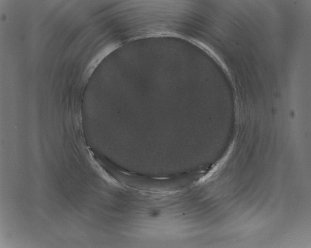 X0000073711289200608171129