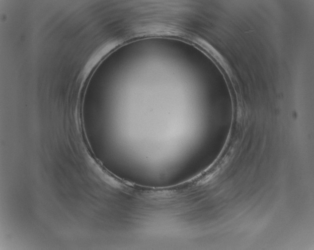 X0000073711293200608171129