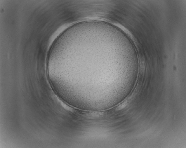 X0000073711294200608171129