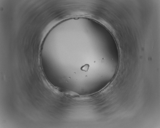 X0000073711296200608171129