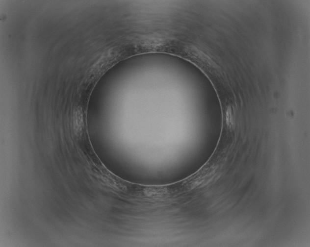 X0000073711299200608171128