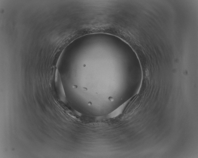 X0000073711300200608171128