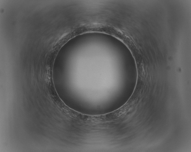 X0000073711301200608171128