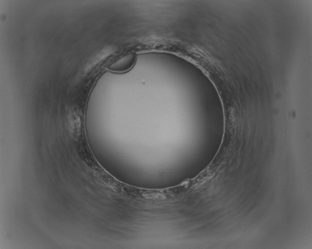 X0000073711302200608171128