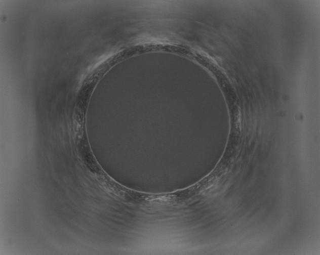 X0000073711303200608171128