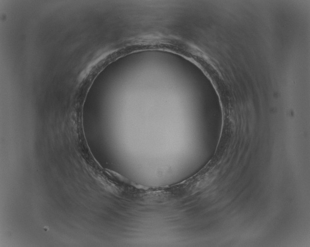 X0000073711304200608171128