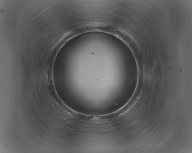 X0000073711305200608171128