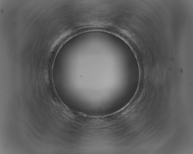 X0000073711307200608171128