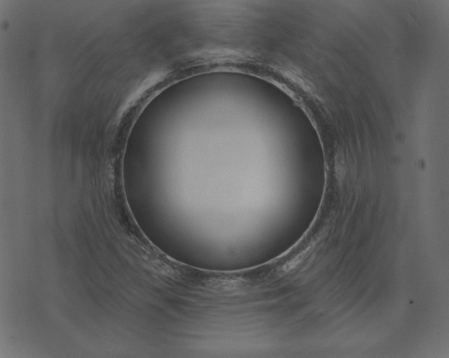 X0000073711309200608171128