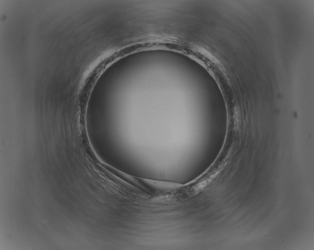 X0000073711310200608171128