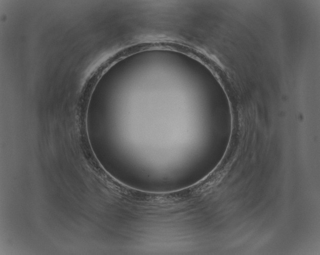 X0000073711311200608171128