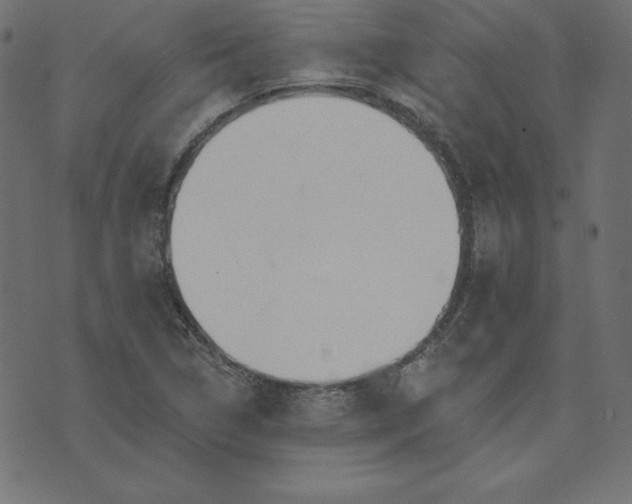 X0000073711314200608171128