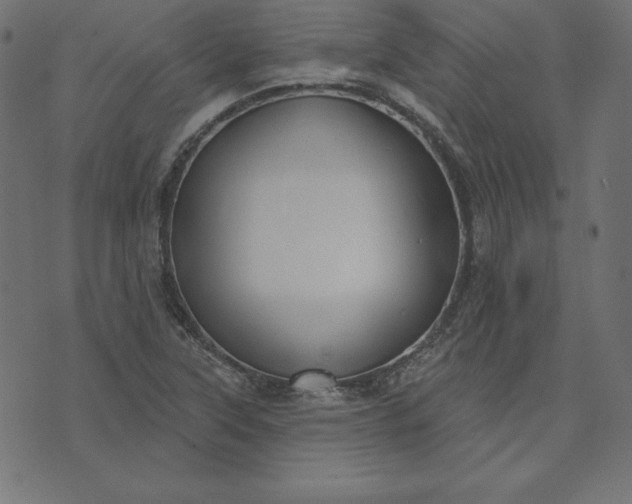 X0000073711315200608171128