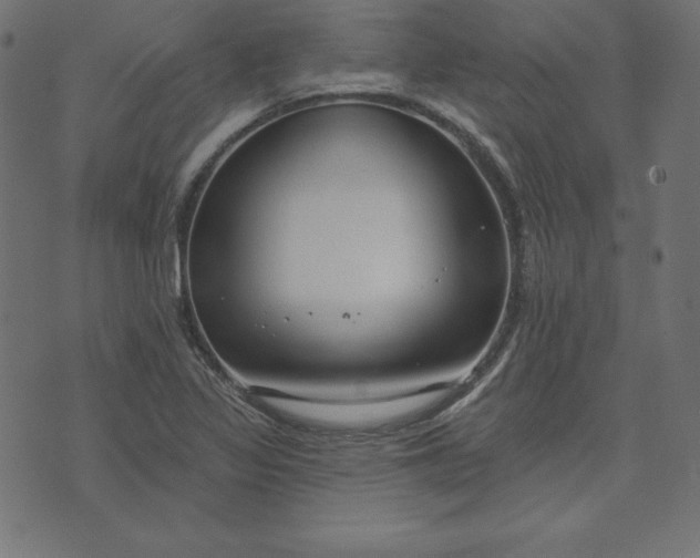 X0000073711317200608171128