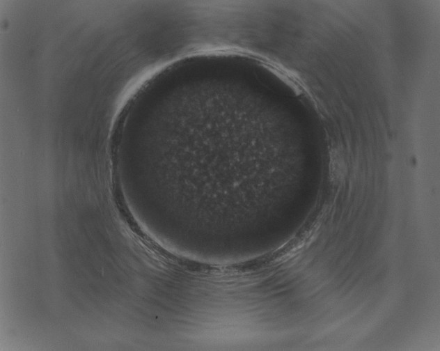 X0000073711319200608171128