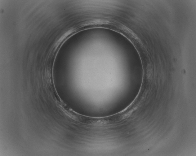 X0000073711321200608171128