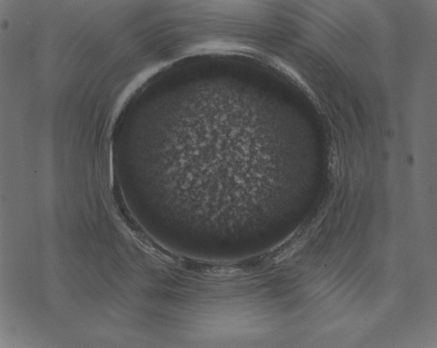 X0000073711323200608171128