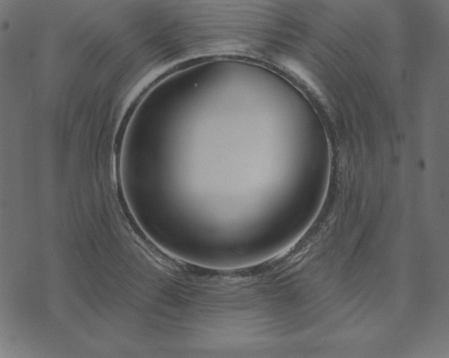 X0000073711324200608171128