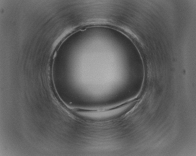 X0000073711325200608171128