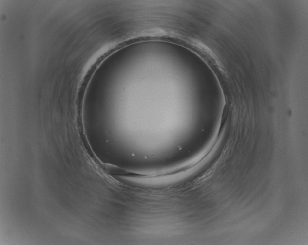 X0000073711326200608171128