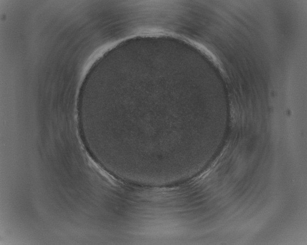 X0000073711327200608171128