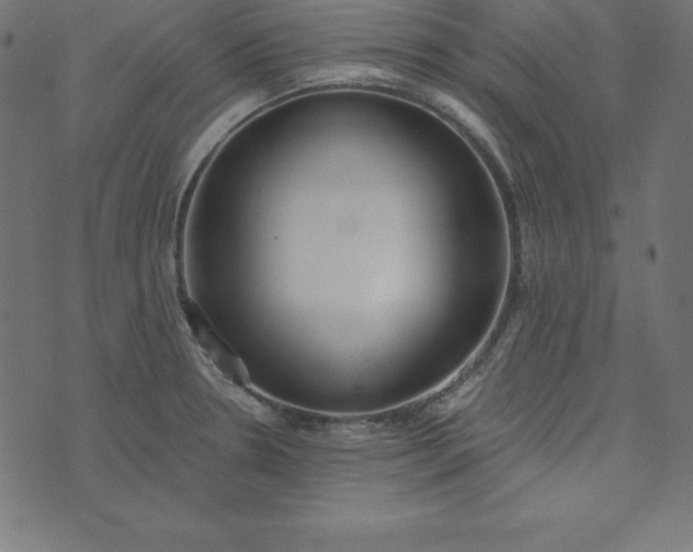 X0000073711330200608171128