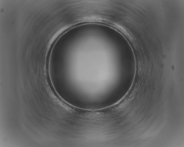 X0000073711331200608171128