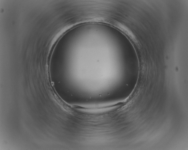 X0000073711332200608171128