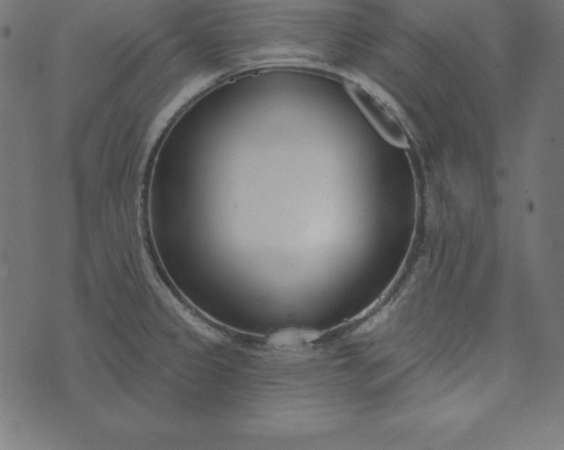 X0000073711333200608171128