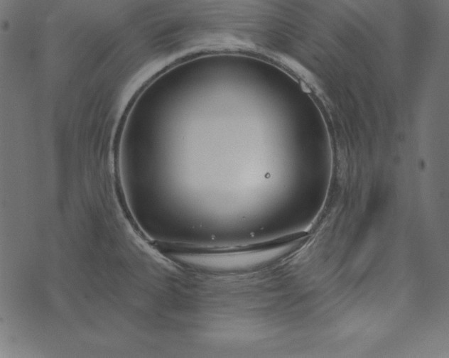 X0000073711335200608171128