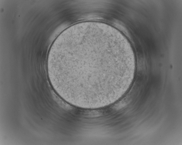 X0000073711338200608171128