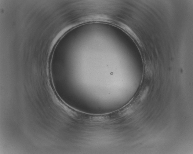 X0000073711339200608171128