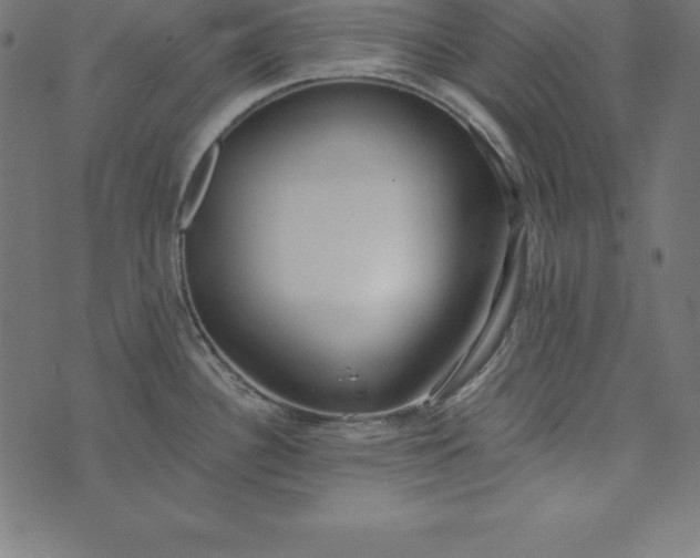 X0000073711340200608171128