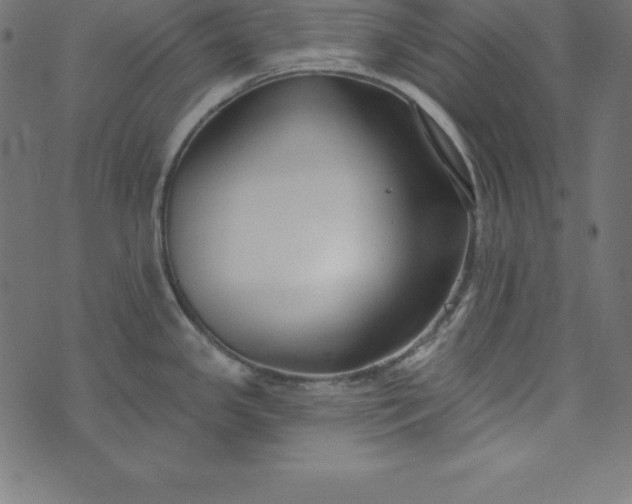 X0000073711341200608171128