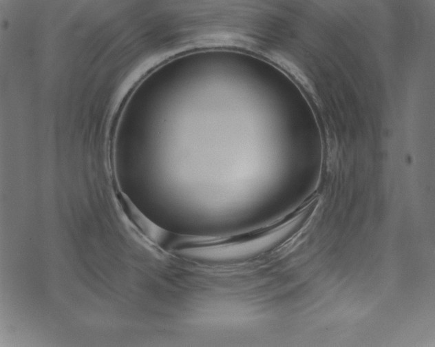 X0000073711342200608171128