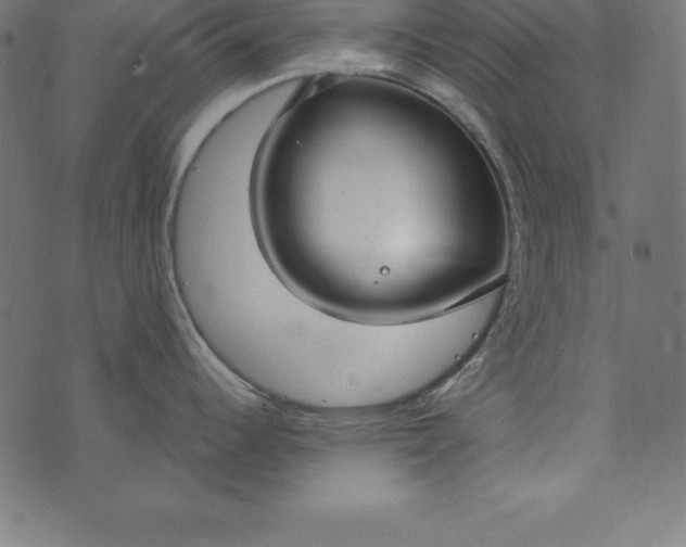 X0000073711344200608171129