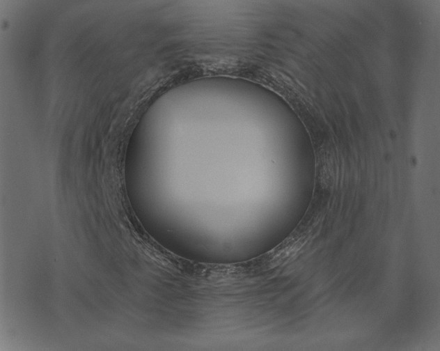 X0000073711345200608171128