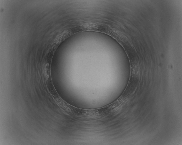 X0000073711346200608171128