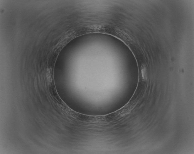 X0000073711347200608171128