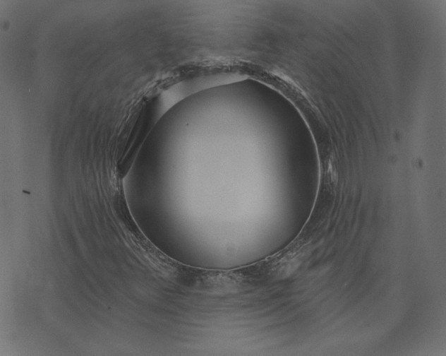 X0000073711348200608171128